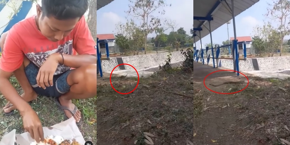 Piknik Aestetik Pinggir Waduk Auto Gagal! Istri Ngacir Lihat Ular Gede Kejar Tikus