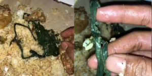 Pria Asyik Makan Nasi Bungkus Temukan Benda Ini Terselip di Sayuran, Netizen Malah Berpantun Ria