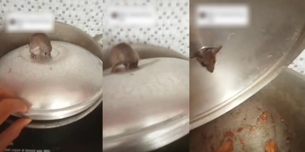 Jijik Banget! Tikus Goyang-goyang di Atas Penutup Panci, Pas Dicek Langsung Bikin Mual