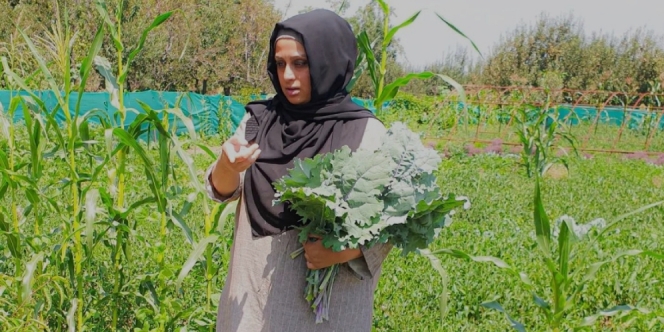 Ilmuwan Wanita Ini Berhenti Kuliah S3 dan Pilih Bertani, Penghasilan Rp150 Juta per Bulan