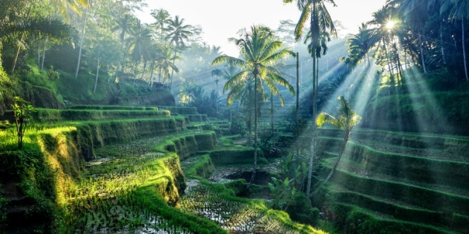 6 Ide Liburan Bernuansa Alam Bareng Keluarga di Bali