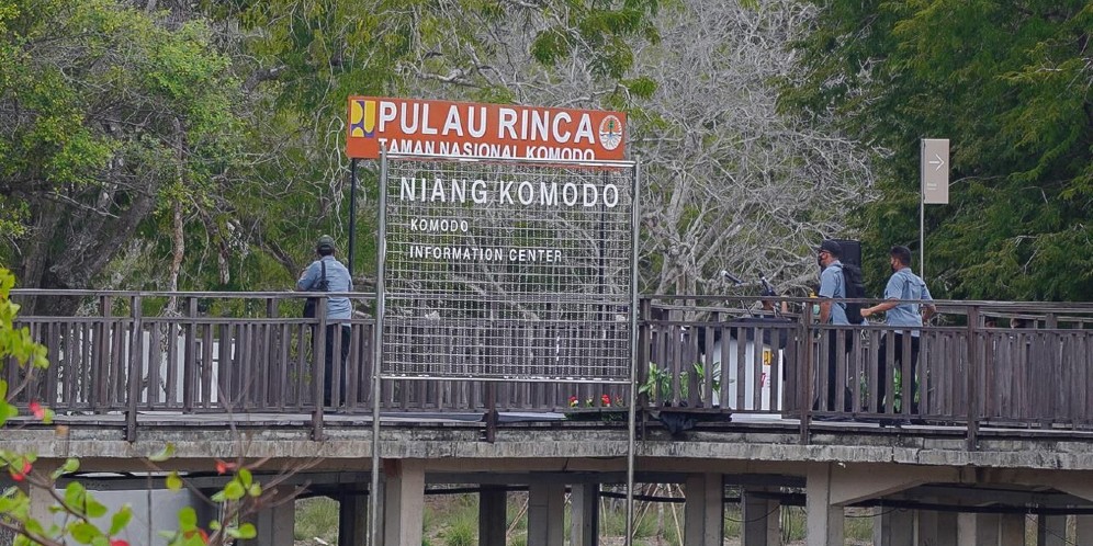 Penetapan HTM Baru Rp3,75 Juta di Taman Nasional Komodo, Berlaku untuk Pulau Komodo dan Padar
