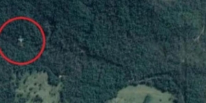 Terungkap, Misteri Penampakan Pesawat 'Hantu' Jatuh di Tengah Hutan yang Terlihat di Google Maps