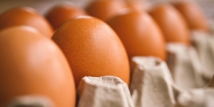Heboh Karyawan Dipaksa Makan Telur Mentah karena Tak Capai Target Perusahaan