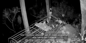 Pasang CCTV dekat Keranda Mayat di Kuburan Angker Malam-malam, Hasilnya Seram Bikin Merinding, Ada Penampakan Aneh