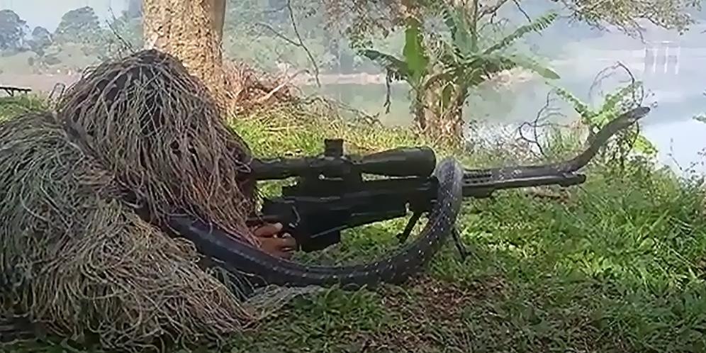 Dikira Gundukan Tanah Berumput, King Kobra Santuy 'Nyender' di Senapan Penembak Jitu Kopasgat