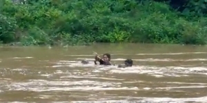 Masih Mengeluh Sekolah Jauh? Lihat Kakak Beradik Ini Menyeberang Sungai Sampai Air Setinggi Leher Demi Ikut Ujian