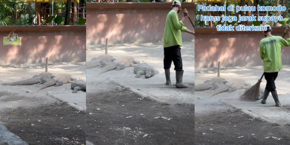 Pria Santuy Menyapu dekat Komodo Ini Bikin Deg-degan, Netizen: 'Please Itu Bukan Cicak'