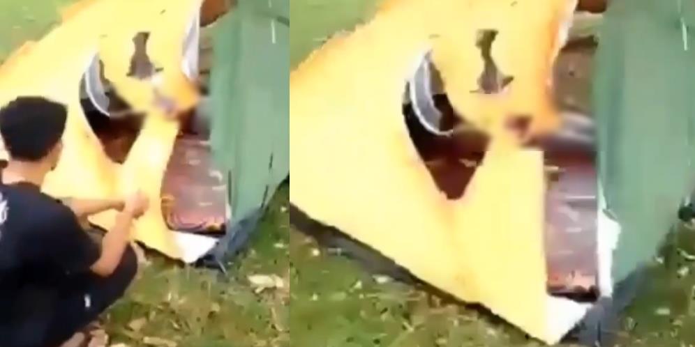 Ngeri! Lagi Asyik Nikmati Liburan Berduaan di Tenda, Sejoli Tersambar Petir, Satu Meninggal Dunia