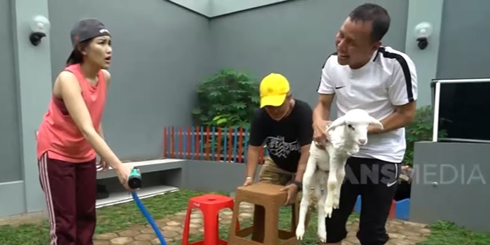 Potret Ayah Ojak Mandikan Beno, Kambing Kesayangan Ayu Ting Ting, Diurus Seperti Anak Sendiri