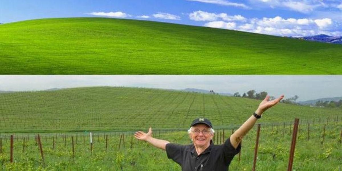 Masih Ingat Wallpaper Windows XP? Ternyata Ini Sosok di Balik Foto Ikonik dari Komputer Hits Tahun 2000-an Keluaran Microsoft