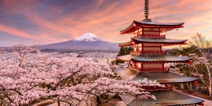 Pilihan Wisata dan Kuliner Halal di Kawasan Gunung Fuji dan Hakone