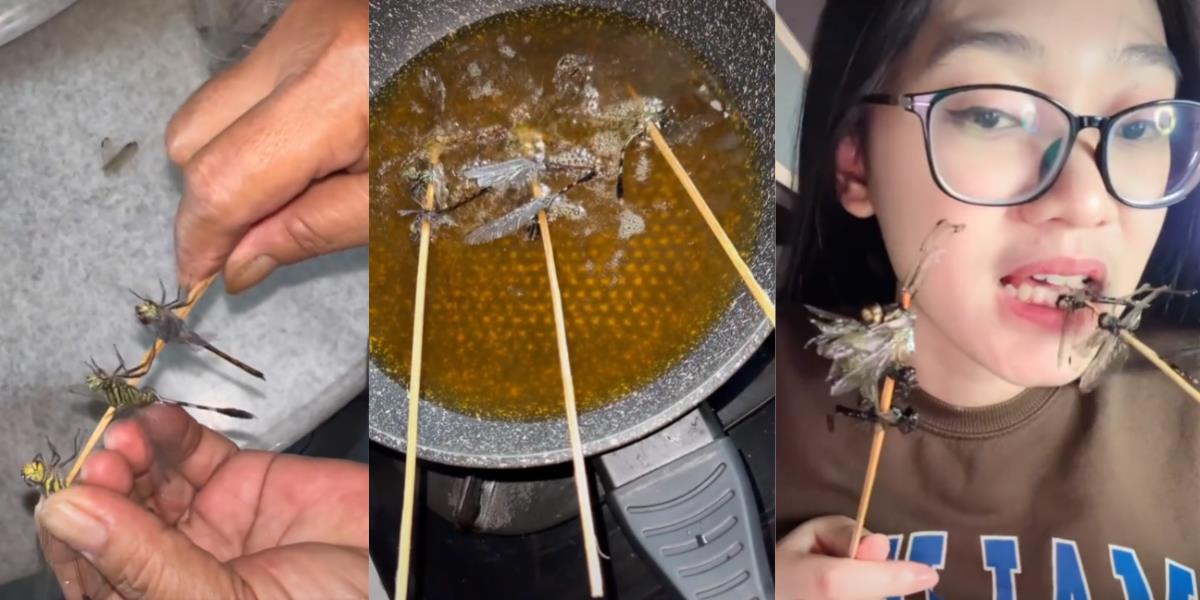 Viral, Gadis Makan Makanan Ekstrem Capung Goreng, Rasanya Seperti Ikan, Netizen: 'Next Lalat Kak'