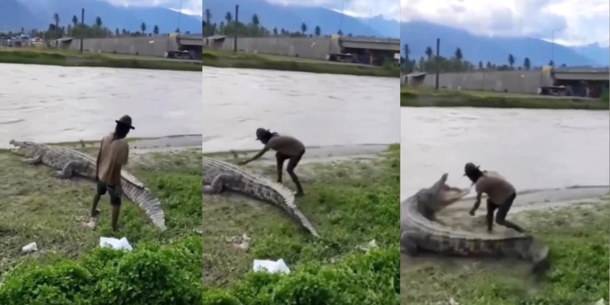 Sok-sokan Berani Elus-Elus Punggung Buaya Raksasa yang Lagi Berjemur di Pinggir Sungai, Pria Ini Nyaris Dicaplok Bular-Bulat