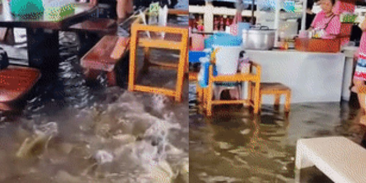 Restoran Ini Beri Sensasi Makan di Tengah Banjir, Bisa Sekalian Kasih Makan Ikan