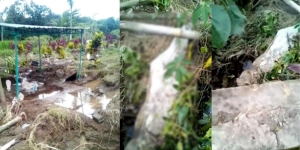 Viral, Sosok Jenazah Tersembul Keluar dari Kuburan Diduga Hanyut Terbawa Arus Banjir di Tulungagung