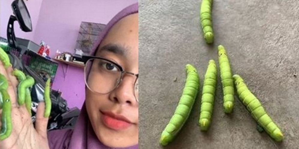 Viral Cewek Cantik Pakai Aksesoris dari Ulat Hidup, Bikin Netizen Geli & Merinding, Lihat 8 Potretnya!