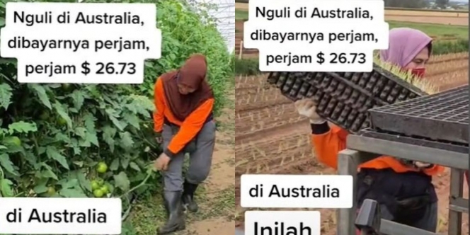 Cerita Wanita Indonesia Merantau ke Australia Jadi Kuli, Gajinya Puluhan Juta