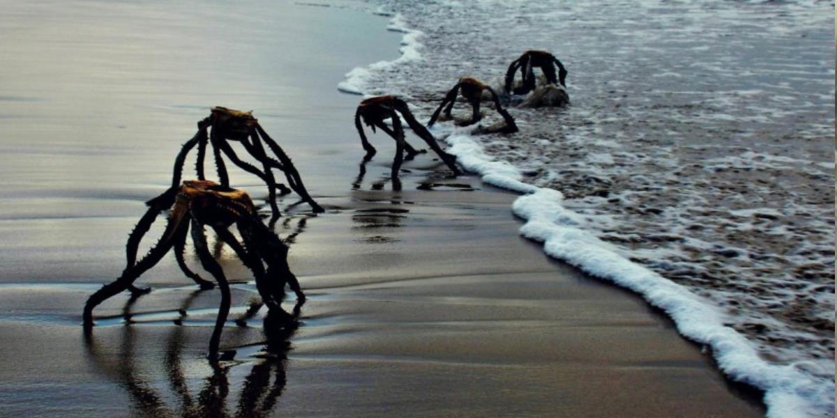 Viral! Foto 'Alien' Mirip di Film War of the World Muncul dari Dalam Laut Pantai Afrika Selatan, Memicu Kepanikan Warga