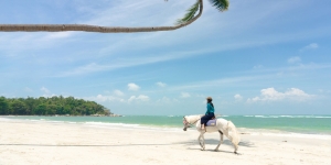 Pengalaman Tak Terlupakan Traveling ke Desa Wisata Pengudang di Pulau Bintan