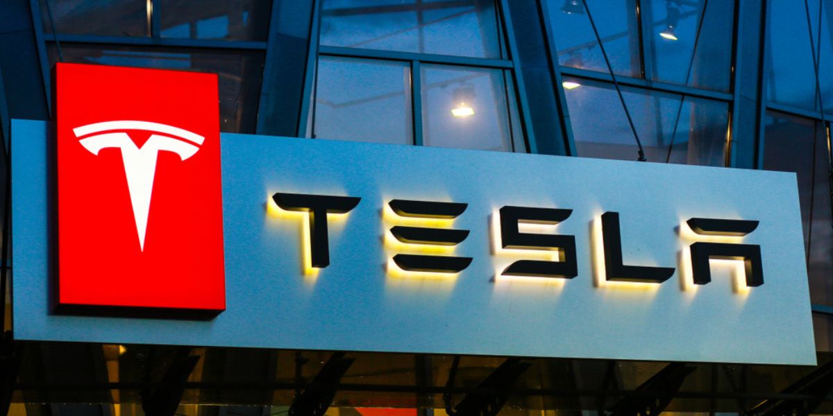 Soal Tesla Bakal Bangun Pabrik di Indonesia, Ini Kata Elon Musk dan Luhut Pandjaitan