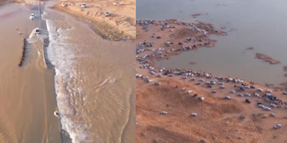 Usai Gunung Tandus Menghijau, Kini Muncul Sungai dan Danau Dadakan di Arab Saudi, Pertanda Apa?