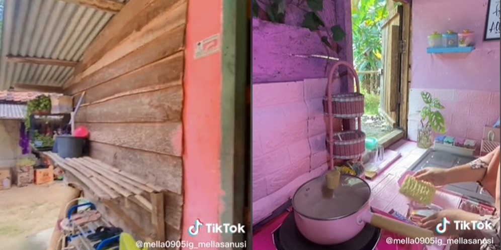 Potret Rumah Pink Terbuat dari Papan Kayu, Tampilannya Super Cantik, Auto Betah!