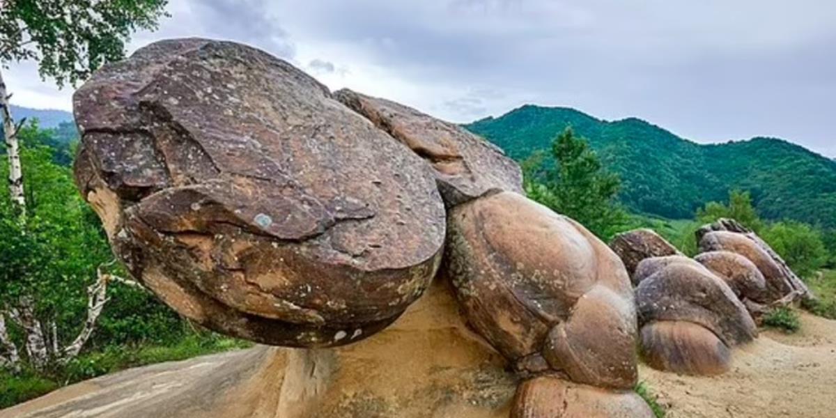 Dikira Cuma di Dongeng, Batu 'Beranak' Ternyata Ada di Dunia Nyata, Ini Wujudnya
