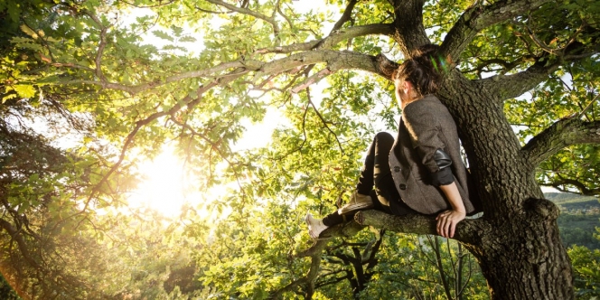 7 Arti Mimpi Memanjat Pohon, Dipercaya Menyimpan Makna Tersembunyi