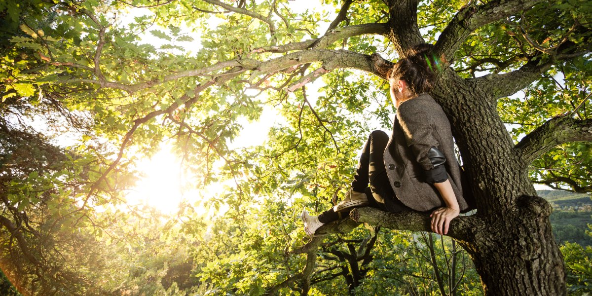 7 Arti Mimpi Memanjat Pohon, Dipercaya Menyimpan Makna Tersembunyi