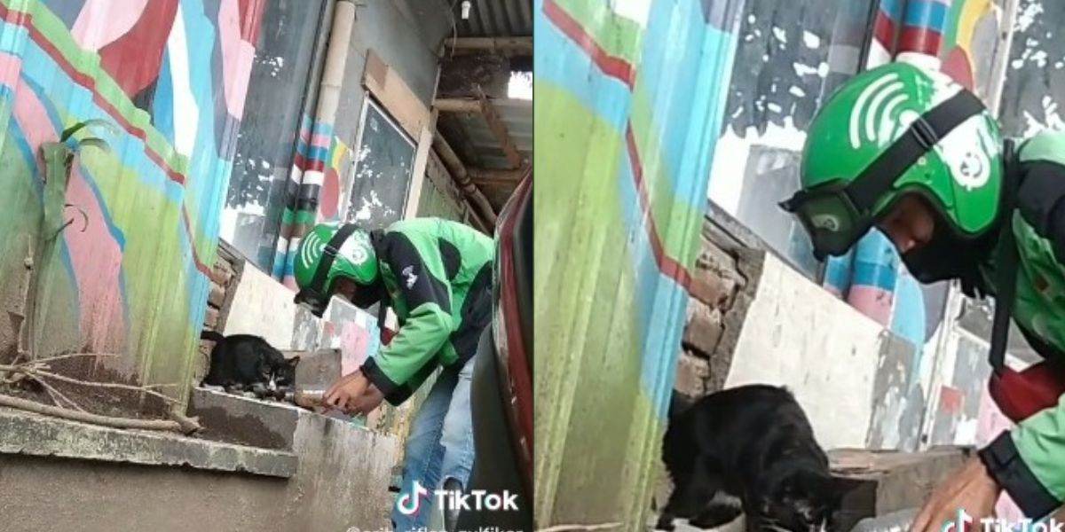 Viral Kang Ojol Kasih Makan Kucing di Jalanan, Bikin Netizen Terharu dan Doakan Banyak Rezeki