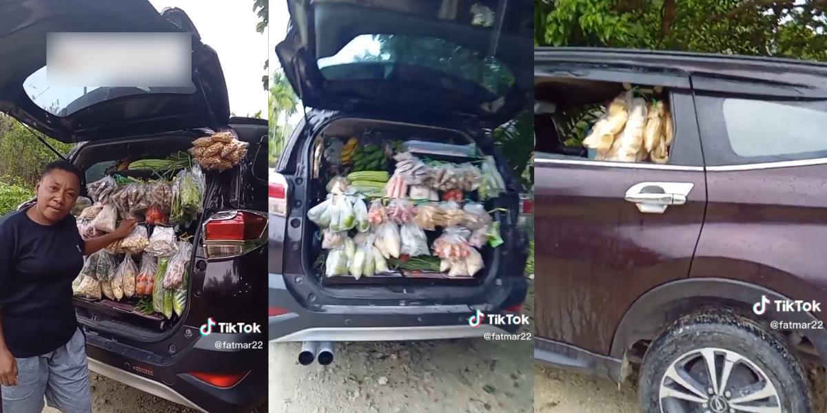 Viral Video Emak-Emak Sulap Daihatsu Terios Jadi Gerobak Jualan Sayur