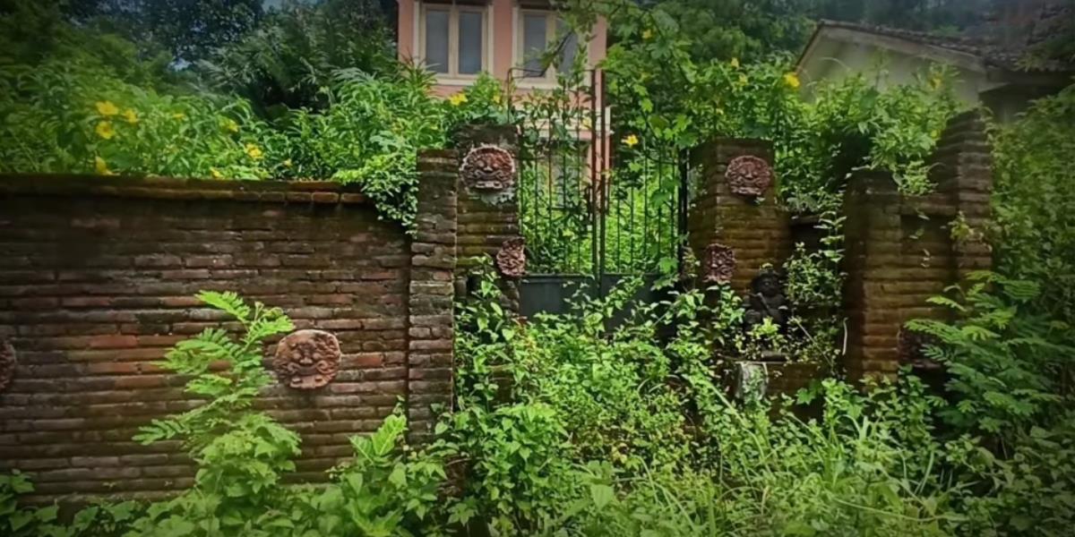 Deretan Foto Penampakan Villa Mewah Terbengkalai Beserta Isinya di Bantul, Ditinggal Pemiliknya Merantau ke Amerika