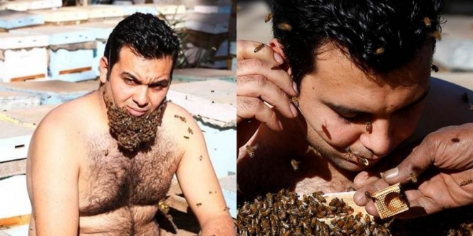 Pria ini Sengaja Tempelkan 'Jenggot Lebah' di Wajah untuk Buktikan Khasiatnya