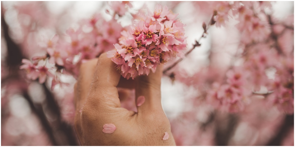 8 Arti Mimpi Memetik Bunga Menurut Jenisnya, Salah Satunya Pertanda Baik Hubungan Kamu dan Pasangan