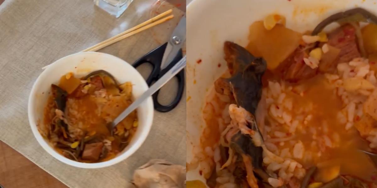 Menjijikkan! Makan Kuliner Korea Seogogi Gukbap, Baru Sekali Menyendok Muncul Bangkai Tikus dari Balik Nasi dan Kuahnya