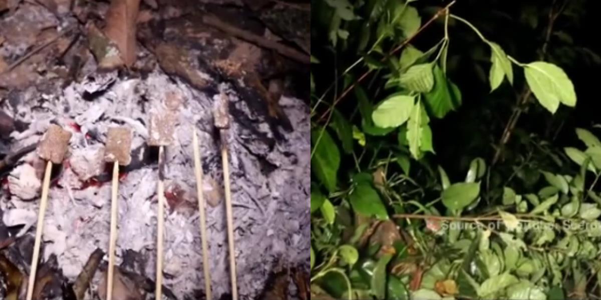 Tengah Malam Iseng Bakar Terasi di Tengah Hutan, Pemuda Kemping Sendirian Alami Kejadian Mengerikan