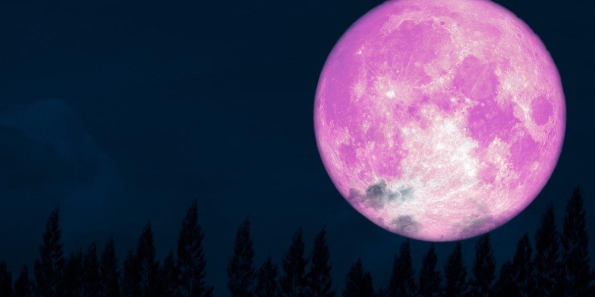 Fenomena Langka Pink Moon akan Menghiasi Langit Mulai Malam Ini