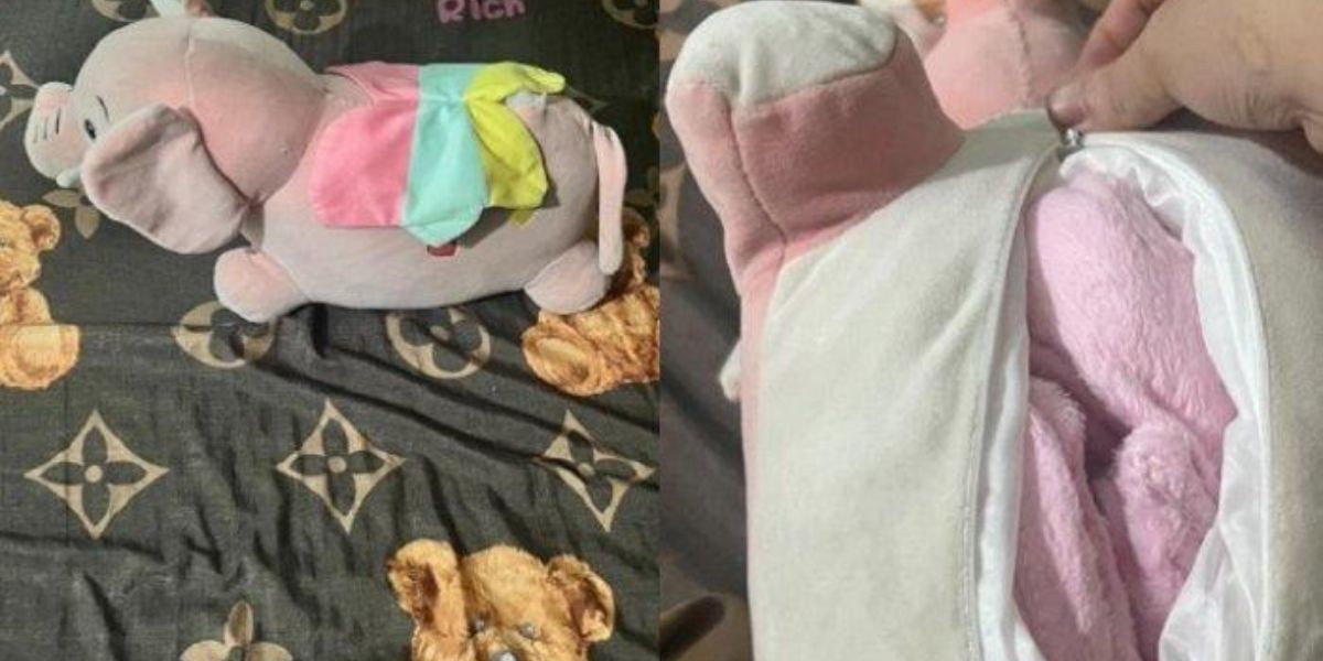 Istri Bongkar Rahasia Boneka Buluk Kesayangan Suami yang Dipeluk Tiap Malam, Ternyata Isinya di Luar Dugaan