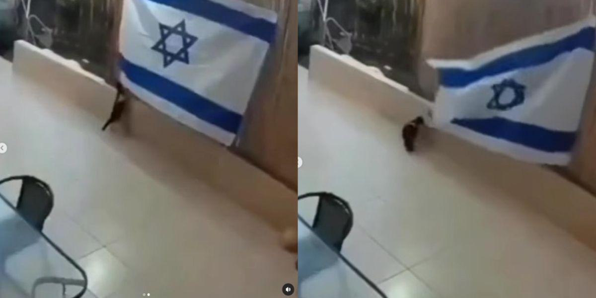 Terekam CCTV! Bendera Israel Kembali Dicopot Binatang, Setelah Dilucuti Gagak, Kini Giliran Dilepas oleh Hewan Imut Ini