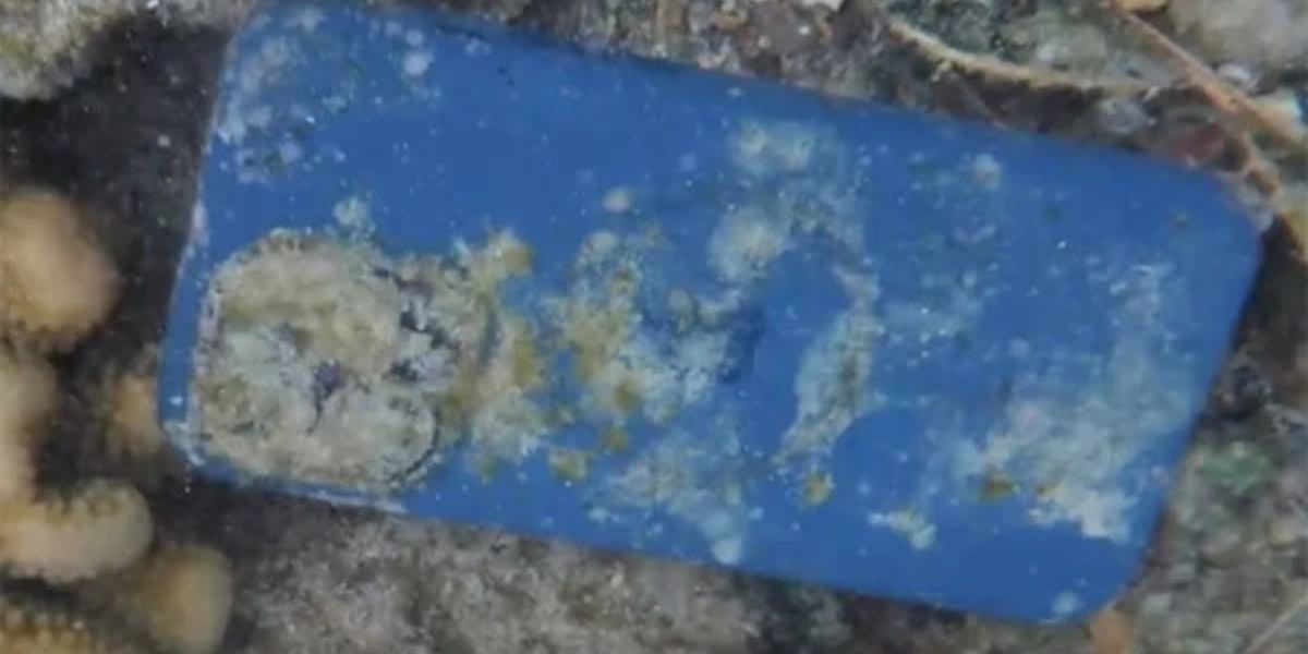 iPhone 14 Tercebur di Laut, Ajaibnya Masih Bisa Menyala Saat Ditemukan 33 Hari Kemudian