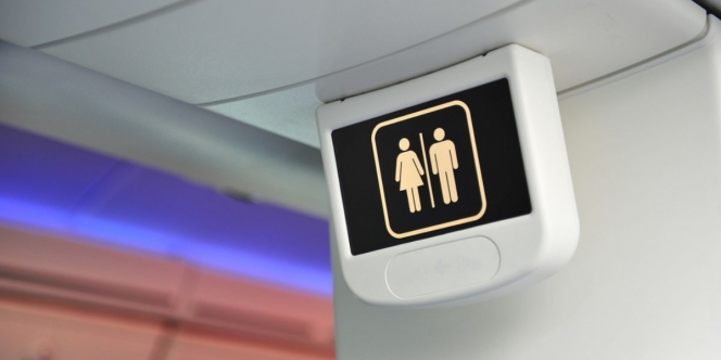 Pramugari Ungkap Rahasia 'Toilet Sedang Dibersihkan' di Pesawat, Jangan Percaya Begitu Saja karena Mungkin Ini yang Sedang Terjadi