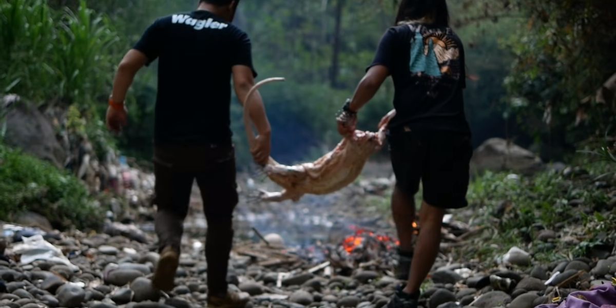 Momen Panji Petualang dan Dede Inoen Tangkap Biawak 'Monster' di Tengah Hutan, Langsung Memakannya