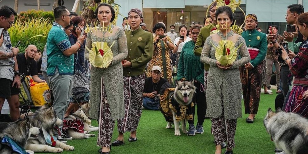 Viral Pernikahan Anjing Jojo-Luna Habiskan Rp200 Juta Berakhir Tinggal Terpisah, Lihat 8 Potretnya