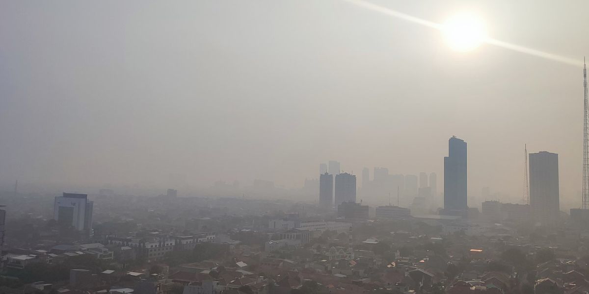 Polusi Udara Jabodetabek Memburuk, Jokowi: Jika Perlu Kita WFH