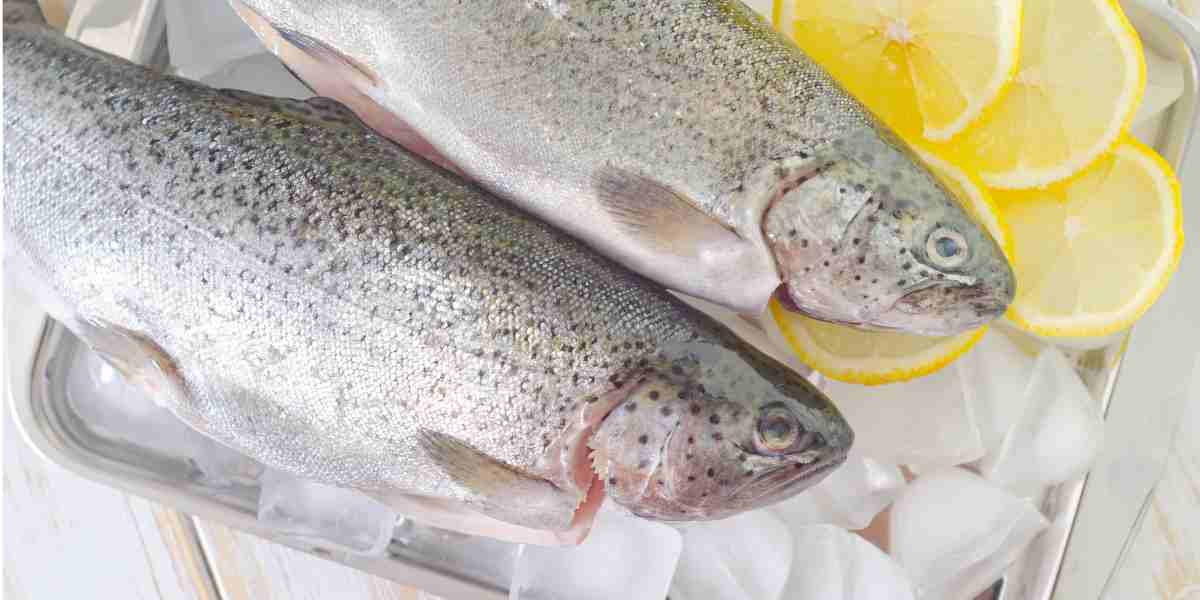 Cara Tepat Simpan Ikan di Kulkas, Selalu Segar dan Tak Berbau