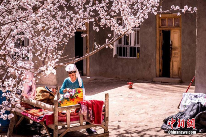 Indahnya Musim Semi Muslim Xinjiang