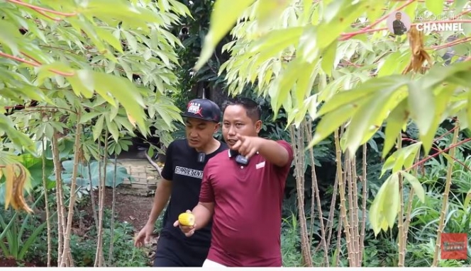 Jarang Muncul di TV! Narji Kini Tekuni Profesi Petani, 5 Penampakan Kebunnya Capai 2.400 Meter