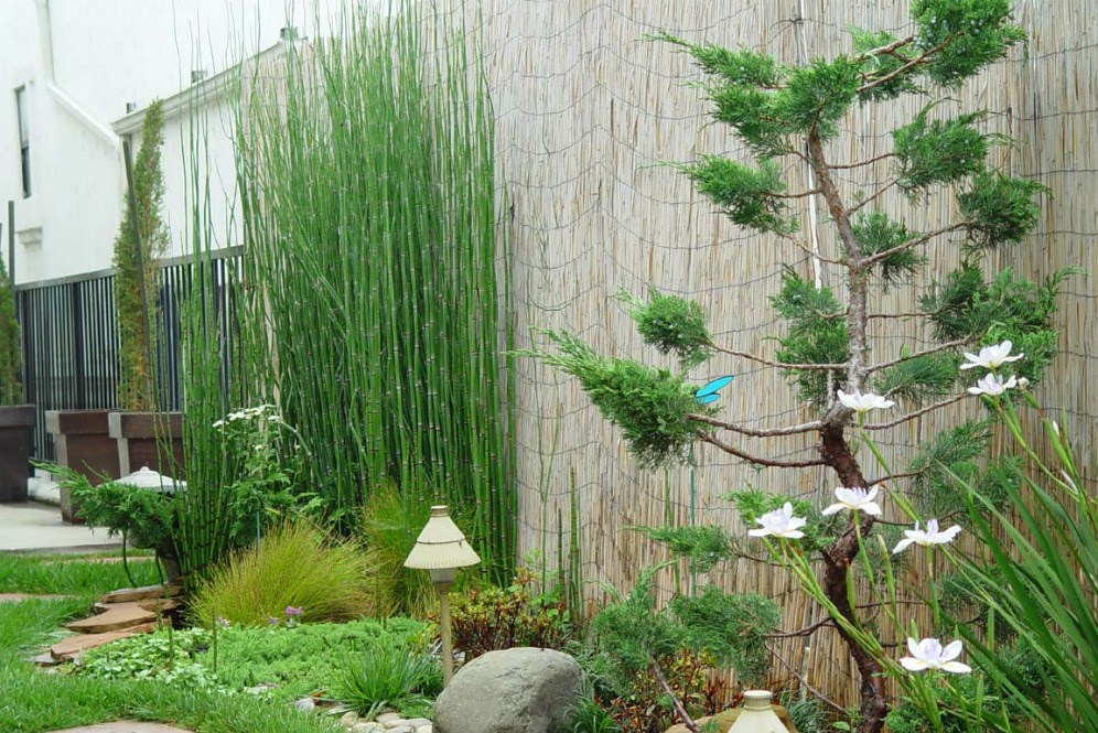 Rumah Sejuk dengan Elemen Taman Zen ala Jepang | Dream.co.id