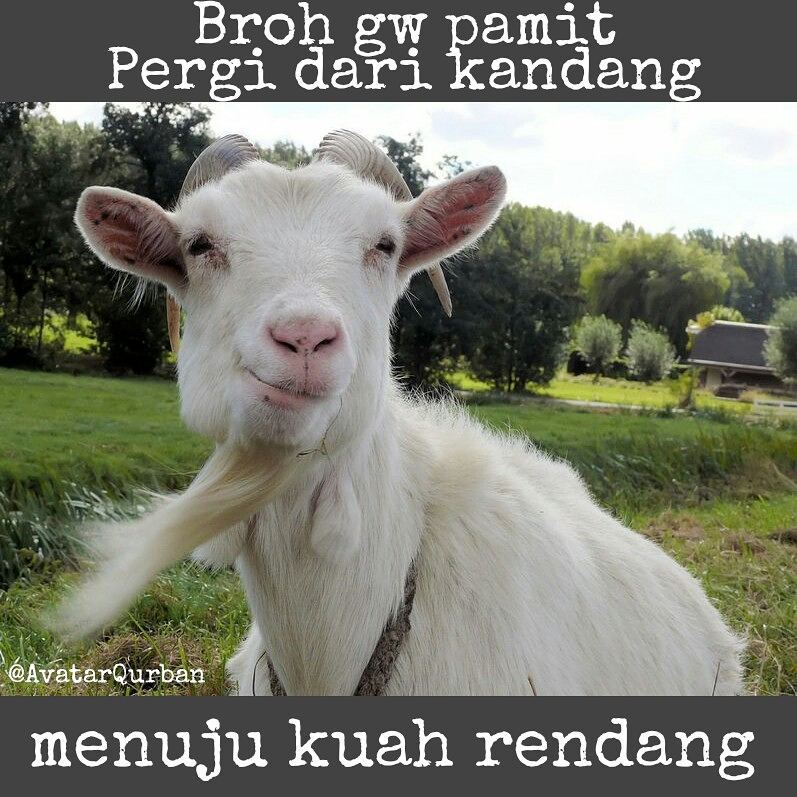 Download 66+ Gambar Gokil Tentang Qurban Keren 